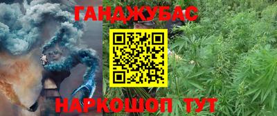 mdpv Славгород