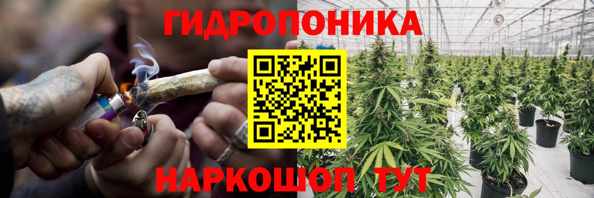 МАРИХУАНА план  МАРИХУАНА тримм  Бошки Шишки гибрид  Новоуральск  Вход с VPN  Каннабис тримм 